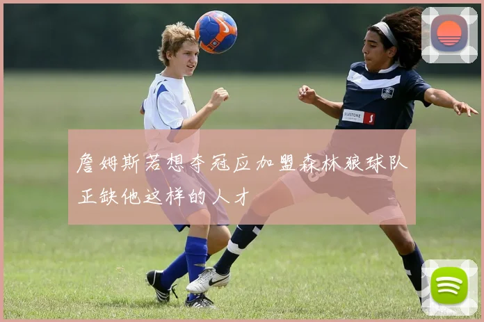 詹姆斯若想夺冠应加盟森林狼球队正缺他这样的人才